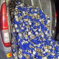 Nemški policisti česa takega niso pričakovali: kombi je bil tako težak, da ga ni mogla dvigniti niti vlečna služba, njegova vsebina pa je presenetila tudi policiste