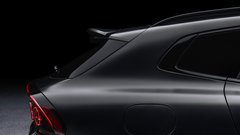 
                                                         Mercedes-AMG GT SUV
