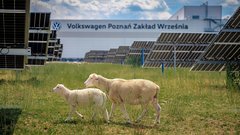 Vsakih 163 sekund iz tovarne, ki jo obkrožajo ovce, zapelje nov dostavnik